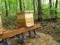 Hive #2 after the move from the NUC